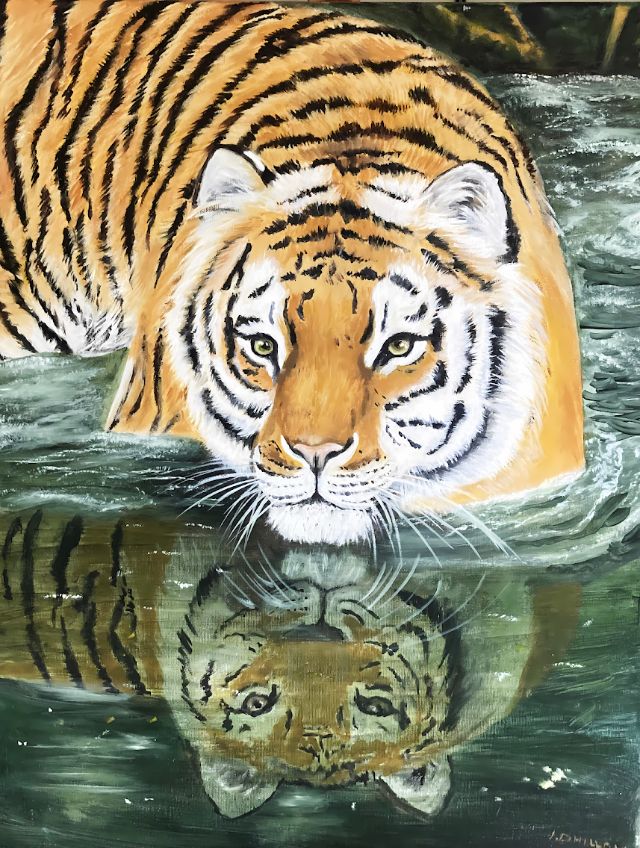 Tigers Reflection