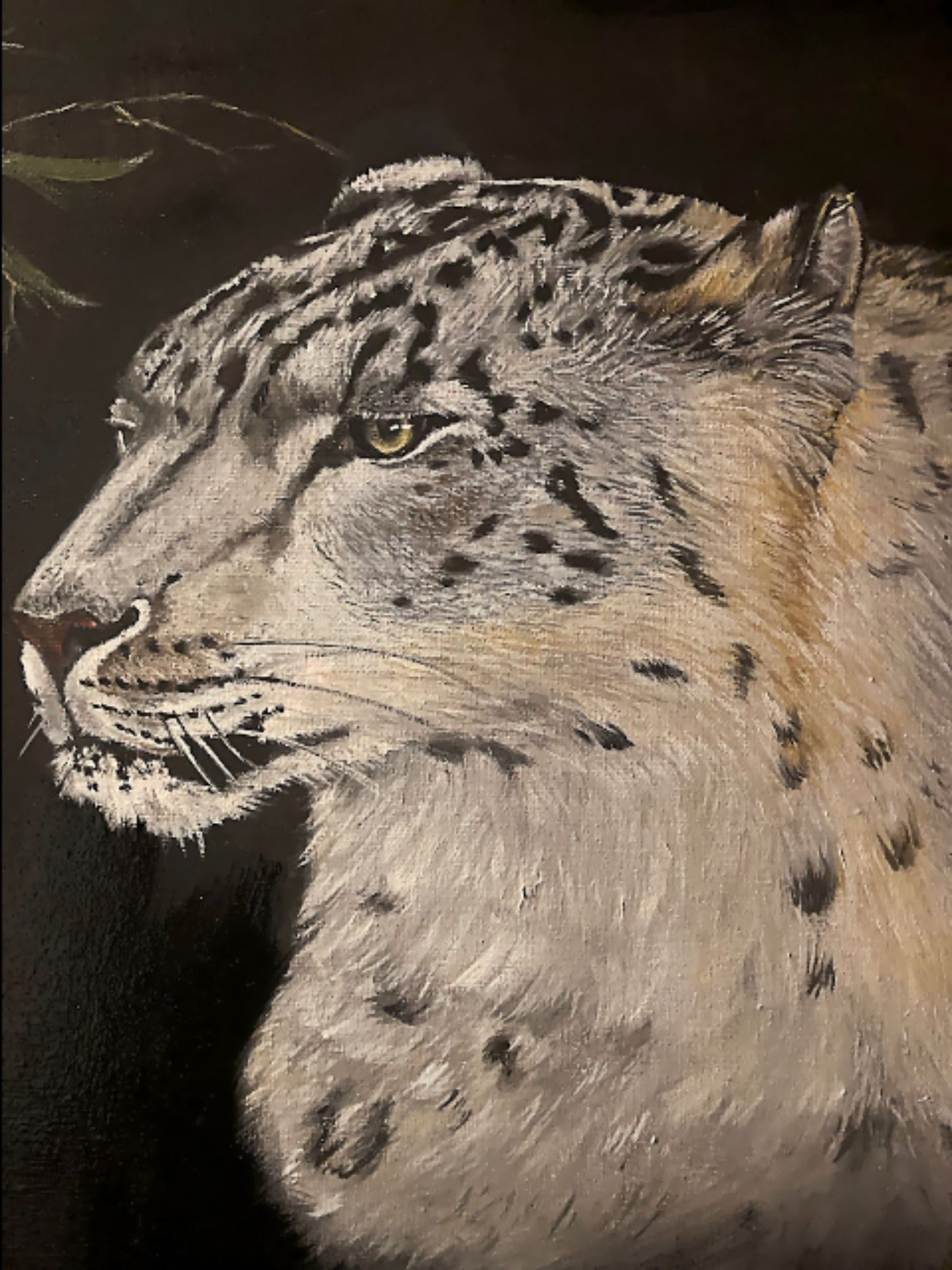 The Snow Leopard