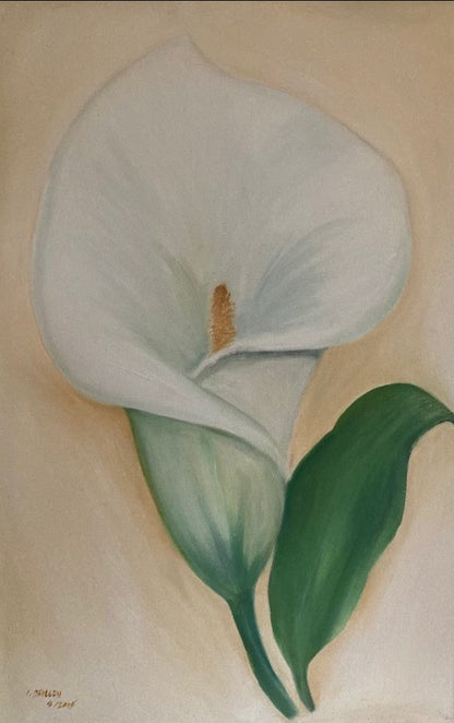 White Lilly